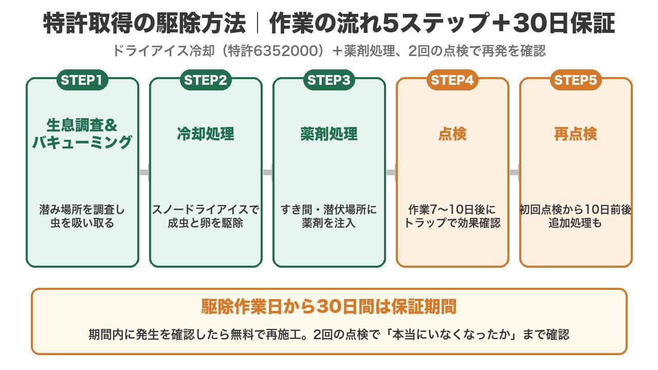 ターミニックスのトコジラミ駆除の流れ5ステップ（生息調査＆バキューミング→冷却処理→薬剤処理→点検→再点検）と30日保証